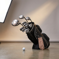 10 Pieces Ladies Complete Golf Club Set with Alloy Driver — Studio Shot